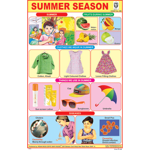 SUMMER SEASON CHART SIZE 12X18 (INCHS) 300GSM ARTCARD - Indian Book Depot (Map House)