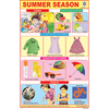 SUMMER SEASON CHART SIZE 12X18 (INCHS) 300GSM ARTCARD - Indian Book Depot (Map House)