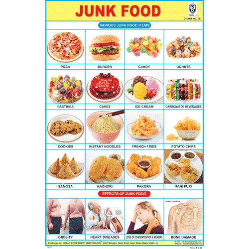JUNK FOOD SIZE 24 X 36 CMS CHART NO. 291 - Indian Book Depot (Map House)