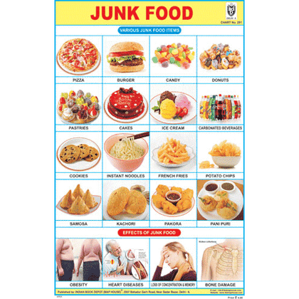 JUNK FOOD SIZE 24 X 36 CMS CHART NO. 291 - Indian Book Depot (Map House)