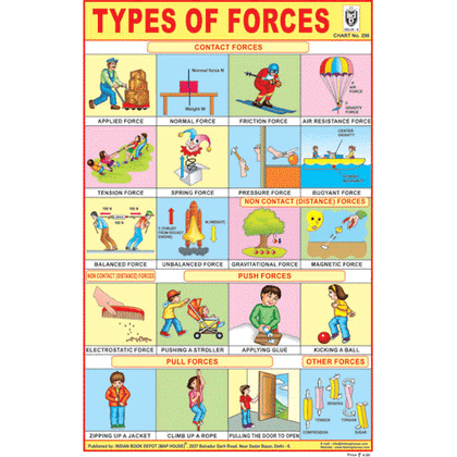 TYPES OF FORCES CHART SIZE 12X18 (INCHS) 300GSM ARTCARD - Indian Book Depot (Map House)
