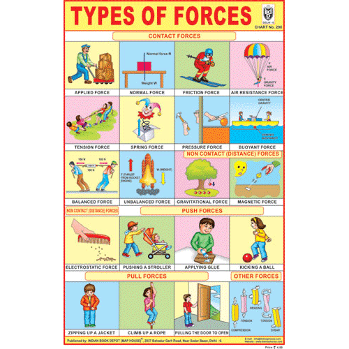 TYPES OF FORCES SIZE 24 X 36 CMS CHART NO. 298 - Indian Book Depot (Map House)