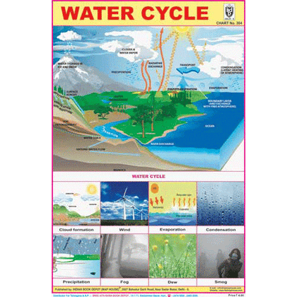 WATER CYCLE CHART SIZE 12X18 (INCHS) 300GSM ARTCARD - Indian Book Depot (Map House)
