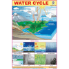 WATER CYCLE CHART SIZE 12X18 (INCHS) 300GSM ARTCARD - Indian Book Depot (Map House)