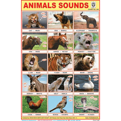 ANIMALS SOUNDS SIZE 24 X 36 CMS CHART NO. 305 - Indian Book Depot (Map House)