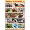 ANIMALS SOUNDS CHART SIZE 12X18 (INCHS) 300GSM ARTCARD - Indian Book Depot (Map House)