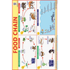FOOD CHAIN CHART SIZE 12X18 (INCHS) 300GSM ARTCARD - Indian Book Depot (Map House)
