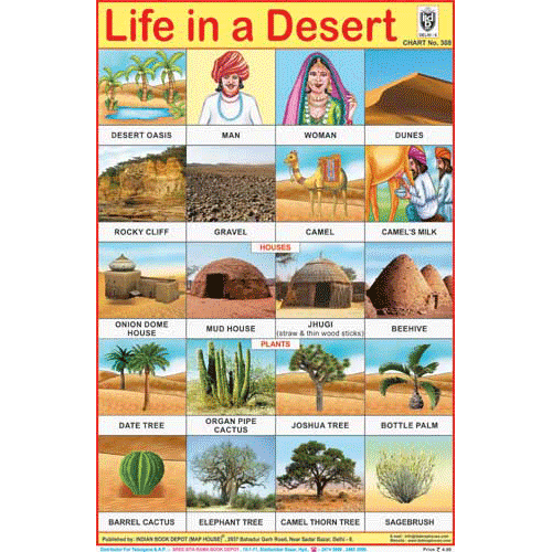 LIFE IN DESERT CHART SIZE 12X18 (INCHS) 300GSM ARTCARD - Indian Book Depot (Map House)