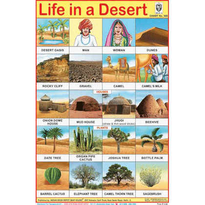 LIFE IN DESERT CHART SIZE 12X18 (INCHS) 300GSM ARTCARD - Indian Book Depot (Map House)