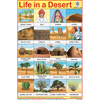 LIFE IN DESERT CHART SIZE 12X18 (INCHS) 300GSM ARTCARD - Indian Book Depot (Map House)