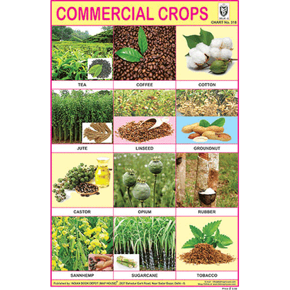 COMMERCIAL CROPS CHART SIZE 12X18 (INCHS) 300GSM ARTCARD - Indian Book Depot (Map House)