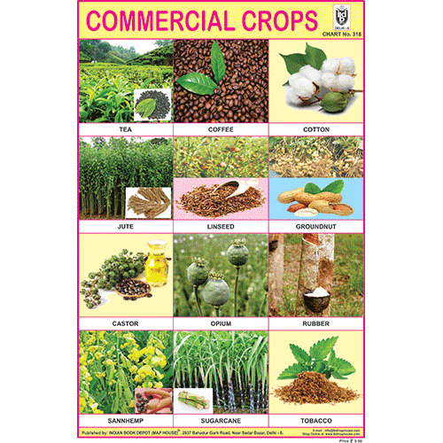 COMMERCIAL CROPS SIZE 24 X 36 CMS CHART NO. 318 - Indian Book Depot (Map House)