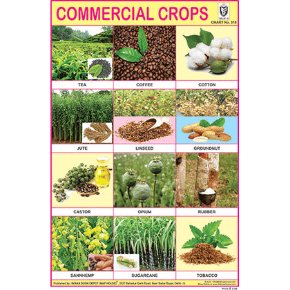 COMMERCIAL CROPS SIZE 24 X 36 CMS CHART NO. 318 - Indian Book Depot (Map House)