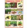 COMMERCIAL CROPS CHART SIZE 12X18 (INCHS) 300GSM ARTCARD - Indian Book Depot (Map House)