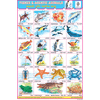 FISHES & AQUATIC ANIMALS CHART SIZE 12X18 (INCHS) 300GSM ARTCARD - Indian Book Depot (Map House)