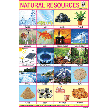 NATURAL RESOURCES CHART SIZE 12X18 (INCHS) 300GSM ARTCARD - Indian Book Depot (Map House)