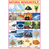 NATURAL RESOURCES CHART SIZE 12X18 (INCHS) 300GSM ARTCARD - Indian Book Depot (Map House)