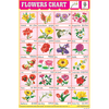 FLOWERS CHART 24 PHOTO (RED) SIZE 24 X 36 CMS CHART NO. 33 - Indian Book Depot (Map House)