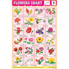 FLOWERS CHART 24 PHOTO (RED) CHART SIZE 12X18 (INCHS) 300GSM ARTCARD - Indian Book Depot (Map House)