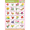 FLOWER CHART 24 PHOTOS (WHITE) CHART SIZE 12X18 (INCHS) 300GSM ARTCARD - Indian Book Depot (Map House)