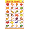 FRUITS CHART (28 PHOTO) CHART SIZE 12X18 (INCHS) 300GSM ARTCARD - Indian Book Depot (Map House)