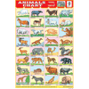 ANIMALS CHART 32 PHOTOS CHART SIZE 12X18 (INCHS) 300GSM ARTCARD - Indian Book Depot (Map House)