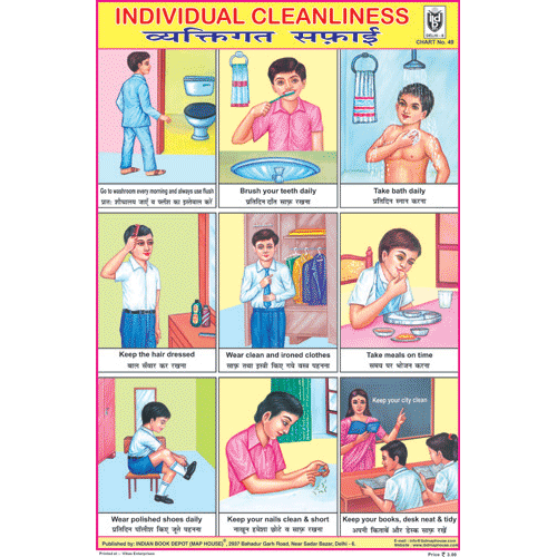 INDIVIDUAL CLEANLINESS CHART SIZE 12X18 (INCHS) 300GSM ARTCARD - Indian Book Depot (Map House)