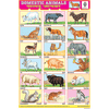 DOMESTIC ANIMALS CHART SIZE 12X18 (INCHS) 300GSM ARTCARD - Indian Book Depot (Map House)