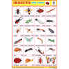 INSECTS CHART SIZE 24 X 36 CMS CHART NO. 50 - Indian Book Depot (Map House)
