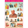 LIFE OF PT.JAWAHAR LAL NEHRU CHART SIZE 12X18 (INCHS) 300GSM ARTCARD - Indian Book Depot (Map House)