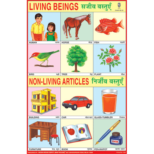 LIVING & NON LIVING ARTICLES SIZE 24 X 36 CMS CHART NO. 59 - Indian Book Depot (Map House)