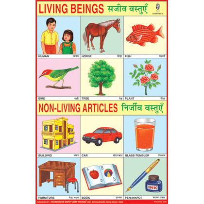 LIVING & NON LIVING ARTICLES SIZE 24 X 36 CMS CHART NO. 59 - Indian Book Depot (Map House)