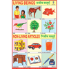 LIVING & NON LIVING ARTICLES CHART SIZE 12X18 (INCHS) 300GSM ARTCARD - Indian Book Depot (Map House)
