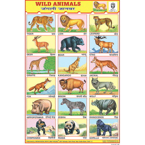 WILD ANIMALS SIZE 24 X 36 CMS CHART NO. 5 - Indian Book Depot (Map House)