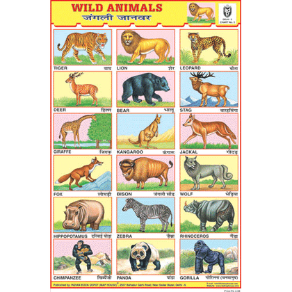 WILD ANIMALS CHART SIZE 12X18 (INCHS) 300GSM ARTCARD