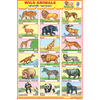 WILD ANIMALS CHART SIZE 12X18 (INCHS) 300GSM ARTCARD