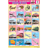 MEANS OF TRANSPORT CHART SIZE 12X18 (INCHS) 300GSM ARTCARD - Indian Book Depot (Map House)