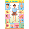 PARTS OF THE BODY SIZE 24 X 36 CMS CHART NO. 74 - Indian Book Depot (Map House)