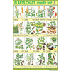 PLANTS CHART CHART SIZE 12X18 (INCHS) 300GSM ARTCARD - Indian Book Depot (Map House)