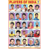 PLAYERS OF INDIA CHART SIZE 12X18 (INCHS) 300GSM ARTCARD - Indian Book Depot (Map House)