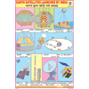 SATELLITES OF INDIA CHART SIZE 12X18 (INCHS) 300GSM ARTCARD