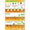 SEED GERMINATION CHART SIZE 12X18 (INCHS) 300GSM ARTCARD