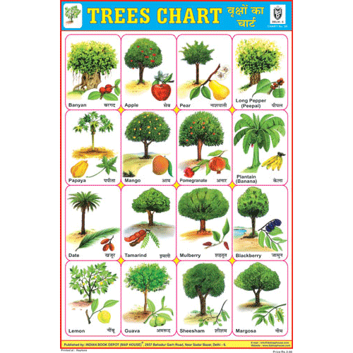 TREES CHART SIZE 24 X 36 CMS CHART NO. 94