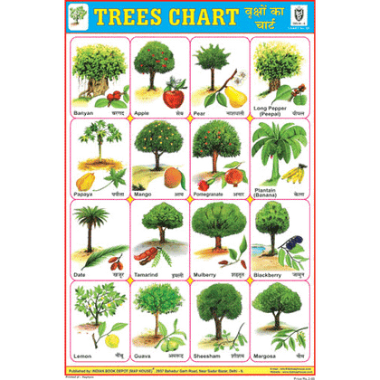 TREES CHART SIZE 24 X 36 CMS CHART NO. 94 - Indian Book Depot (Map House)