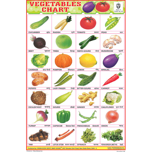 VEGETABLES CHART (28 PHOTO) SIZE 24 X 36 CMS CHART NO. 95 - Indian Book Depot (Map House)