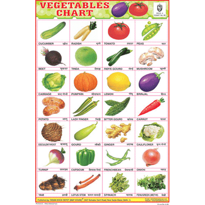 VEGETABLES CHART (28 PHOTO) SIZE 24 X 36 CMS CHART NO. 95 - Indian Book Depot (Map House)