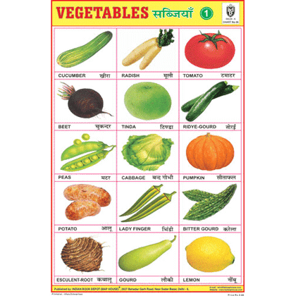 VEGETABLES CHART NO.1 SIZE 24 X 36 CMS CHART NO. 96 - Indian Book Depot (Map House)