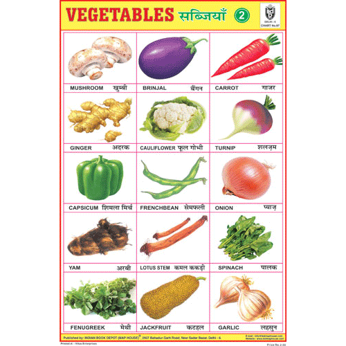 VEGETABLES CHART NO.2 SIZE 24 X 36 CMS CHART NO. 97 - Indian Book Depot (Map House)