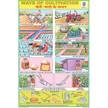 WAYS OF CULTIVATION CHART SIZE 12X18 (INCHS) 300GSM ARTCARD