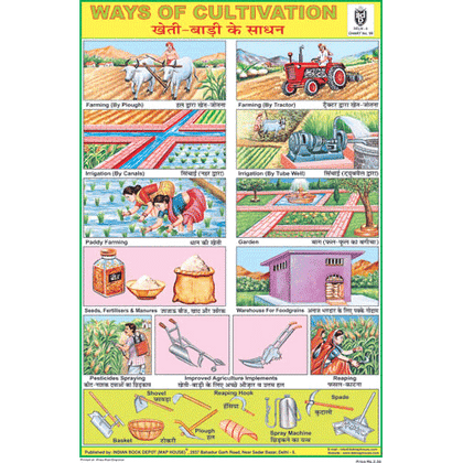 WAYS OF CULTIVATION SIZE 24 X 36 CMS CHART NO. 99 - Indian Book Depot (Map House)